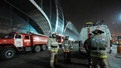 Уничтоженный в Чечне бандглаварь был причастен к теракту в «Домодедово» - 5-tv.ru - респ. Чечня