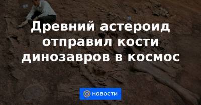 Древний астероид отправил кости динозавров в космос - news.mail.ru - Мексика
