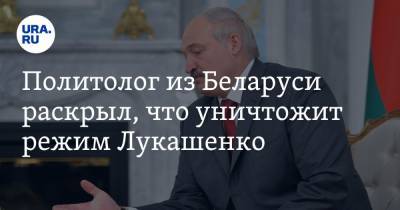 Александр Лукашенко - Павел Шеремет - Дмитрий Болкунец - Вадим Зайцев - Политолог из Беларуси раскрыл, что уничтожит режим Лукашенко. «Дни его сочтены» - ura.news - Белоруссия