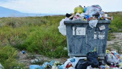 ЗакС предложил не штрафовать за вывоз твердых коммунальных отходов в выходные и праздники - piter.tv - Санкт-Петербург