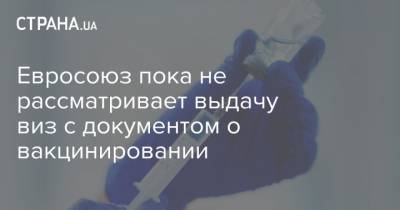 Евросоюз пока не рассматривает выдачу виз с документом о вакцинировании - strana.ua - Визы