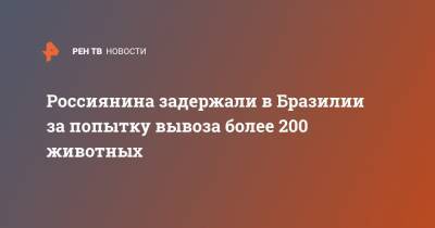 Россиянина задержали в Бразилии за попытку вывоза более 200 животных - ren.tv - Бельгия - Бразилия - Сан-Паулу - Лима - Перу