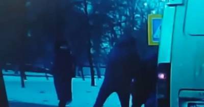 В Николаеве водитель чуть не сбил мужчину с ребенком, а потом набросился на них с кулаками (видео) - tsn.ua - Япония - Николаев