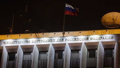 Ирина Волк - Пандемия дала толчок росту преступности в России – МВД - crimea.ria.ru - Крым - Симферополь