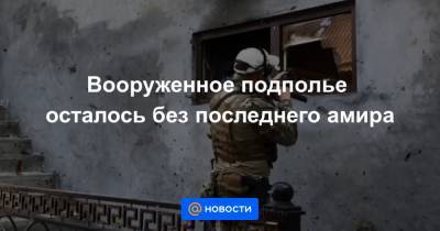Владимир Путин - Рамзан Кадыров - Аслан Бютукаев - Вооруженное подполье осталось без последнего амира - news.mail.ru - респ. Чечня