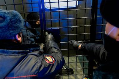 Ирина Волк - В МВД заявили о росте преступности в России - lenta.ru