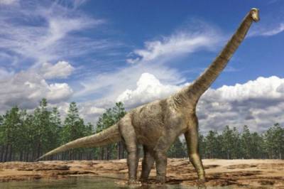 В Аргентине нашли останки 98-летнего титанозавра: Он мог быть самым большим животным Земли - vkcyprus.com - Аргентина
