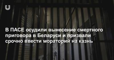 В ПАСЕ осудили вынесение смертного приговора в Беларуси и призвали срочно ввести мораторий на казнь - news.tut.by - Белоруссия - Минск
