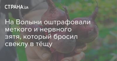 На Волыни оштрафовали меткого и нервного зятя, который бросил свеклу в тёщу - strana.ua