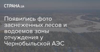 Появились фото заснеженных лесов и водоемов зоны отчуждения у Чернобыльской АЭС - strana.ua