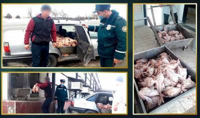 Правоохранители задержали партию куриного мяса, которое перевозили прямо в салоне легкового авто - podrobno.uz - Узбекистан - Ташкент