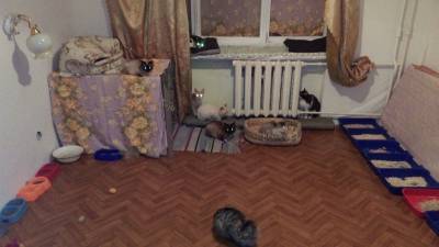 В Ухте суд обязал хозяйку зловонной квартиры впустить в дом сотрудников мэрии - komiinform.ru - респ. Коми