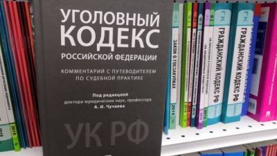 Ирина Рукавишникова - Сенаторы хотят признать треш-стримы отягчающим обстоятельством в УК РФ - politros.com