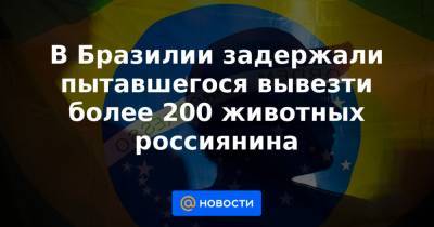 В Бразилии задержали пытавшегося вывезти более 200 животных россиянина - news.mail.ru - Санкт-Петербург - Бразилия - Сан-Паулу - Амстердам