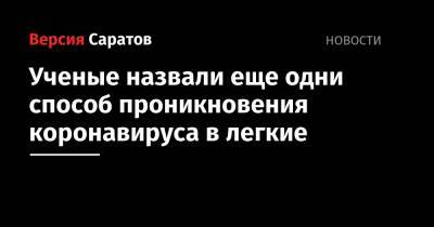 Ученые назвали еще одни способ проникновения коронавируса в легкие - nversia.ru