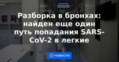 Разборка в бронхах: найден еще один путь попадания SARS-CoV-2 в легкие - news.mail.ru