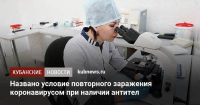 Названо условие повторного заражения коронавирусом при наличии антител - kubnews.ru - США