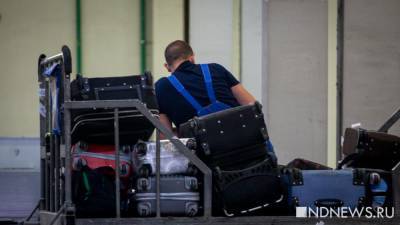 В России хотят уменьшить размеры провозимого в самолете багажа - newdaynews.ru