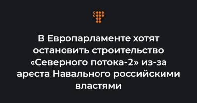 Алексей Навальный - В Европарламенте хотят остановить строительство «Северного потока-2» из-за ареста Навального российскими властями - hromadske.ua