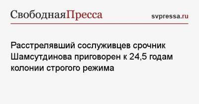 Расстрелявший сослуживцев срочник Шамсутдинова приговорен к 24,5 годам колонии строгого режима - svpressa.ru - Чита