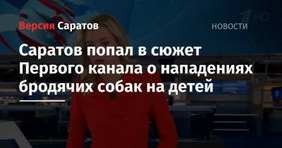 Саратов попал в сюжет Первого канала о нападениях бродячих собак на детей - nversia.ru - Башкирия - Саратовская обл. - Улан-Удэ - респ.Бурятия