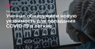 Ученые обнаружили новую уязвимость для попадания COVID-19 в легкие - tvrain.ru