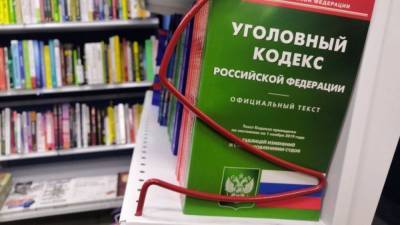 Минфин предложил наказывать россиян за неуплату ряда пошлин - nation-news.ru - Таможенный Союз