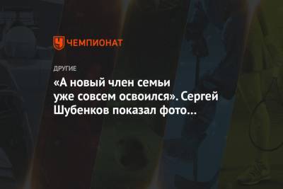 Сергей Шубенков - «А новый член семьи уже совсем освоился». Сергей Шубенков показал фото с сыном - championat.com