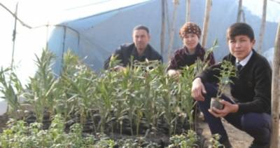 Цветовод из района Джалолиддина Балхи за 4 года стала успешной предпринимательницей - dialog.tj - Душанбе