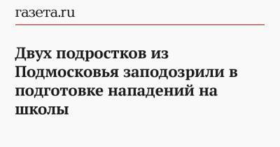 Двух подростков из Подмосковья заподозрили в подготовке нападений на школы - gazeta.ru - Московская обл.