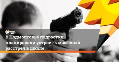 ВПодмосковье подростки планировали устроить массовый расстрел вшколе - ridus.ru - Московская обл. - Тюменская обл.