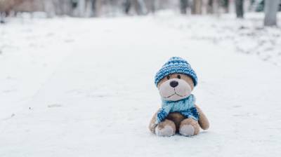 Стало известно, где до ночи в сильный мороз скитался пропавший 10-летний воронежец - vestivrn.ru - Воронеж