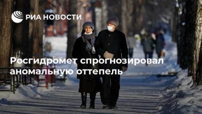 Росгидромет спрогнозировал аномальную оттепель - ria.ru - Москва - ЦФО