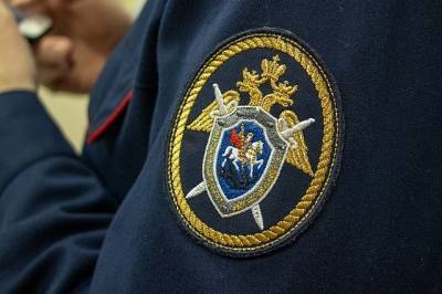 Юлия Иванова - В Москве сиделка призналась в убийстве пожилой женщины - aif.ru - Москва