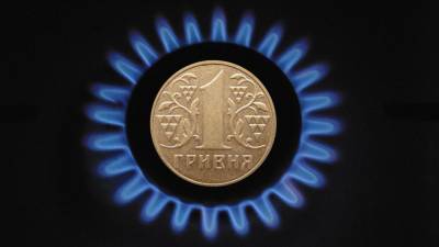 Украинских поставщиков газа проверят на предмет искусственного завышения цен - riafan.ru - Киев