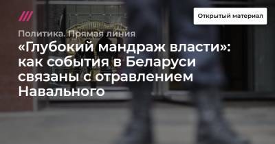 Владимир Пастухов - «Глубокий мандраж власти»: как события в Беларуси связаны с отравлением Навального. Мнение Владимира Пастухова - tvrain.ru - Белоруссия