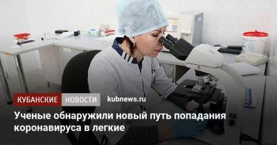 Ученые обнаружили новый путь попадания коронавируса в легкие - kubnews.ru