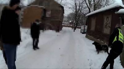 Собака в Риге несколько дней просидела рядом с умершим хозяином - eadaily.com - Рига