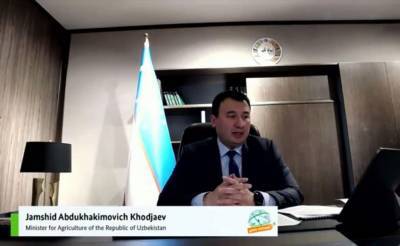 Жамшид Ходжаев - В Узбекистане были проблемы с картофелем и растительным маслом во время пандемии – глава Минсельхоза - podrobno.uz - Узбекистан - Ташкент