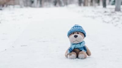 Полицейские рассказали о том, где до ночи в мороз скитался 10-летний воронежец - vesti.ru - Воронеж