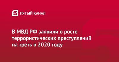 В МВД РФ заявили о росте террористических преступлений на треть в 2020 году - 5-tv.ru