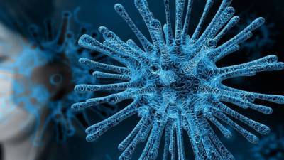 Александр Чепурнов - Вирусолог оценил опасность новых штаммов коронавируса SARS-CoV-2 - polit.info