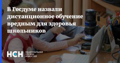 Олег Смолин - В Госдуме назвали дистанционное обучение вредным для здоровья школьников - nsn.fm