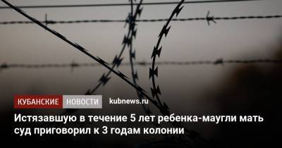 Истязавшую в течение 5 лет ребенка-маугли мать суд приговорил к 3 годам колонии - kubnews.ru - Приморье край - Новороссийск