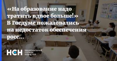 Олег Смолин - «На образование надо тратить вдвое больше!» В Госдуме пожаловались на недостаток обеспечения российских школ - nsn.fm