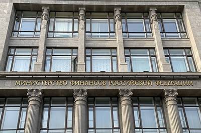 В России хотят снизить беспошлинный порог ввоза товаров при повторном въезде в ЕАЭС - pnp.ru