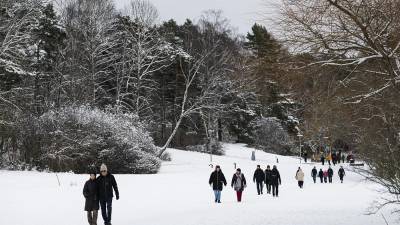 Убежище от коронавируса в Швеции - ru.euronews.com - Россия - США - Франция - Швеция