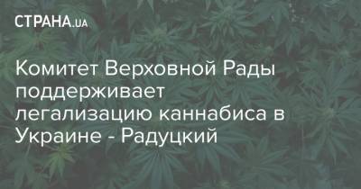 Михаил Радуцкий - Комитет Верховной Рады поддерживает легализацию каннабиса в Украине - Радуцкий - strana.ua