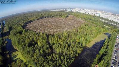 Власти Петербурга собираются достроить экопарк, ради которого вырубили тысячи деревьев - znak.com - Санкт-Петербург - р-н Приморский