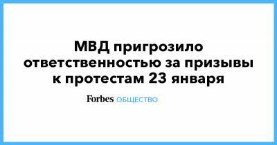 Алексей Навальный - Александр Горовой - МВД пригрозило ответственностью за призывы к протестам 23 января - forbes.ru